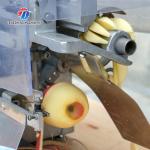 35KG Auto Apple Peeling Machine Industrial , Silvery Avocado Peeler Machine Nucleus Remove