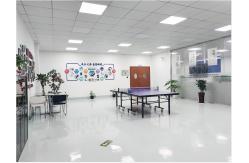 China Electronic Wiring Harness manufacturer
