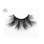 Fan Shaped Whole Strip Cotton Stalk 5D Volume Lashes for sale