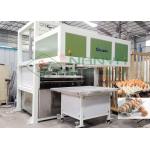 100kw Egg Tray Production Line for sale
