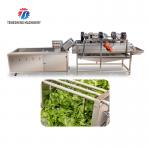 China X Fruit And Vegetable Processing Line 2025 With Advanced Technology factory