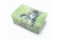 China CMYK EN71 Rectangle Biscuit Tin Box With Logo Printed supplier