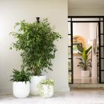 Transform Your Garden with Durable and Lightweight Fiberglass Flower Pots