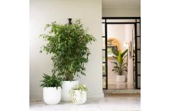 China Transform Your Garden with Durable and Lightweight Fiberglass Flower Pots supplier