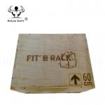 Plywood Crossfit Essential Equipment Wooden Plyo Box With Embossing Handling