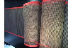 China 10x10mm 4*4mm FDA Passed Ptfe Mesh Conveyor Belt supplier