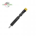 Common Rail Diesel Fuel Injector 28232248 166009384R