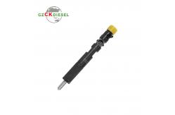 China Common Rail Diesel Fuel Injector 28232248 166009384R supplier