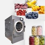 Vacuum Mini Freeze Dryer For Home for sale