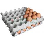 Waste Paper Egg Tray Making Machine Shoe Tree Molded Pulp Equipment