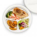 100C Bio Sustainable 3 Compartment Compostable Sugarcane Plates Bagasse Pulp 9 Inch for sale