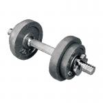 Stoving Round Rubber Dumbbell Set Grey 10kgs Cast Iron Dumbbell Varnish Coated for sale