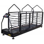 200kgs Capacity Dog Runner Treadmill Pet Medical Equipment for sale