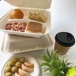 3 Compartment Biodegradable Clamshell Food Containers 9 Inch Greaseproof for sale