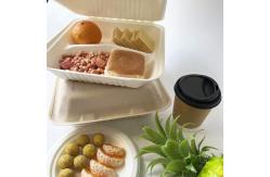 China 3 Compartment Biodegradable Clamshell Food Containers 9 Inch Greaseproof supplier