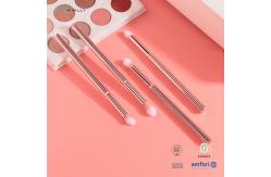 China 5pcs Eyeshadow Makeup Brush Set With Nylon Hair And Metal Handle supplier