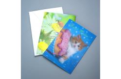 China Factory Hot Sale Custom Kpop 3D Lenticular Printing Postcard/ Business Card supplier
