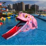 Swimming Pool Fiberglass Frog Water Slide Games Toys for Children for sale