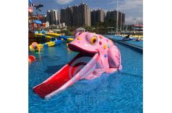 China Kids Mini Pool Slide Whale Frog Shaped Fibreglass Swimming Pool Slide supplier