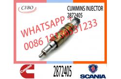 China Fuel Injector Assembly 2872544 2086663 2057401 2872405 203183 Common Rail Injector supplier