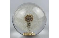 China Gear shift knob with real dandelion inside supplier