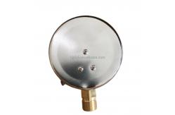 China Pressure Gauge Customized Support and OEM Service with Die Cast Aluminum Case supplier