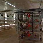 1950*350*380mm Poultry Laying Cage for Poultry Farm Advanced Technology for sale