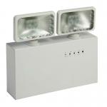 Professional Interior / Exterior Twin Head LED Emergency Lights With Glass Diffuser for sale