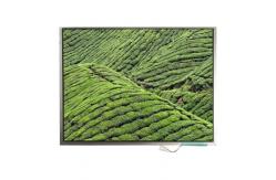 China LTM12H84 12.1 inch 800*600 TFT-LCD Screen Display supplier