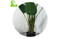 China Artificial Traveler's Palm Decorative Best Office Plants supplier