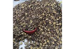 China Natural Bulk Dry Shiitake Mushroom Dried Shiitake Mushrooms Organic supplier