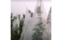 China HDPE Different Size Garden Netting 30-50 Mesh For Vegetables supplier