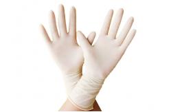 China Natural Latex OEM Surgical Glove 30cm For Customization supplier