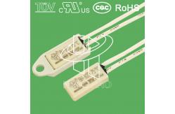 China Plastic Case Thermal Protector Fuse BH-B2D Fluorescent Lamp Ballasts Usage supplier