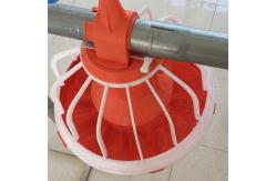 China Automatic feeding pan system bird feeders poultry equipment supplier