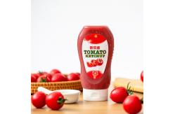 China 450g Tomato Sauce Ketchup hot chocalate jam Plastic Seasoning Bottles Ketchen Squeeze bottle supplier