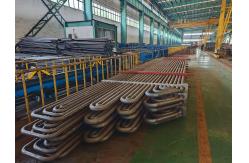 China Custom Austenitic Stainless Steel Superheater Reheater supplier