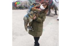 China Waterproof Dinosaur Playground Equipment Animatronic Dinosaur Puppet For Dino Park supplier
