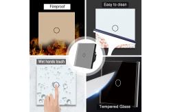 China 100VAC - 240VAC Touch Light Switch 2gang Black Smart Dimmable Light Switch supplier