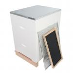 Plastic Frame 20mm Thick Pine Beekeeping Beehive With Foundation for sale