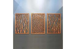 China Customized Durable 2mm Metal Decorative Panels Corten Steel supplier