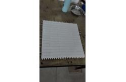 China White Plastic Conveyor Belt Cold Resistant Lifting Conveyor Belt Modular supplier