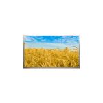 M216H1-L001 21.6 inch 1920*1080 FHD LCD screen display With Desktop Monitor for sale