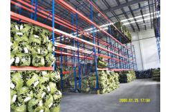 China Material Handling Storage Cold Rolled Pallet Rack Systems For Clothing Industry supplier