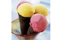 China Hard Ice Cream Floor Commercial Refrigerator Freezer With 2 Tanks supplier