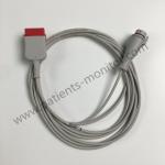 GE Invasive Blood Pressure Cable Argon BD Single 3.6m 12FT REF 2016995-001 2104166-001 For GE CARESCAPE™ ONE for sale