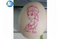 China Characters / Expiry Date Code Printing Machine / Egg Stamping Equipment supplier