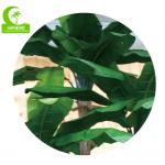 Aesthetic Lifelike 500cm Large Artificial Landscape Trees For Decoration