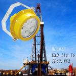 20W CREE Low-copper Aluminum Housing LED Explosion Proof Light with Store / Gas Factory for sale