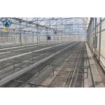 Agriculture Wire Mesh Seed Bench Growing Tables Greenhouse Rolling Benches